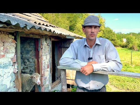 Видео: Щасливе життя самотнього літнього чоловіка в лісі.