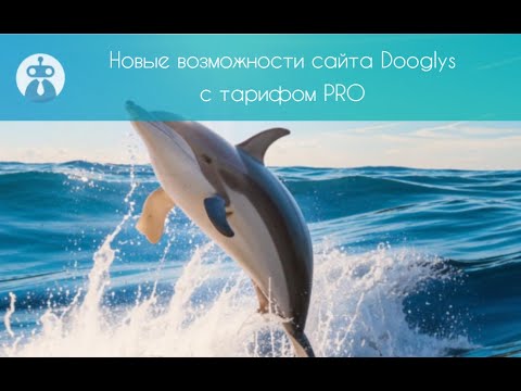 Видео: Новые возможности сайта Dooglys с тарифом PRO.