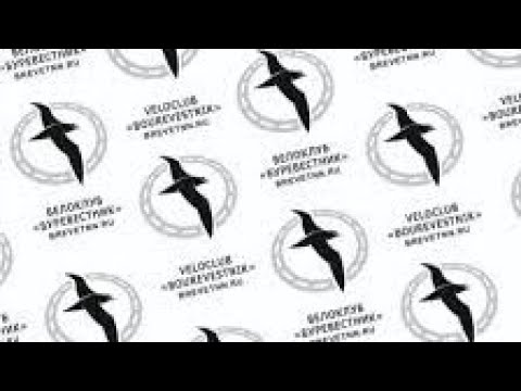 Видео: Бревет Юбилейный 300 км. Клуб Буревестник