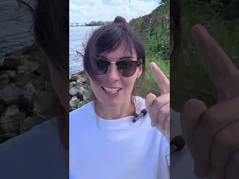 Видео: Конкурс с призовым для рыбаков в Нидерландах 