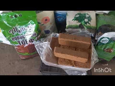 Видео: 10 ОКТЯБРЬ ГУЛЛАРГА ОЗУКАЛАР КЕРАК  БУЛСА🪷🪷🌺🌺🌸🌸🪷🪷🌺🌺🌸🌸