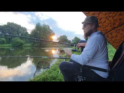 Видео: Микро карась на поплавок,  и новые места для рыбалки 🐟🐟🐟✅️🎣🎣🎣