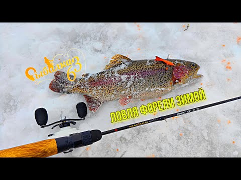 Видео: ЛОВЛЯ ФОРЕЛИ ЗИМОЙ: КАК Я ПОЙМАЛ ПЕРВУЮ ФОРЕЛЬ НА БАЛАНСИР!