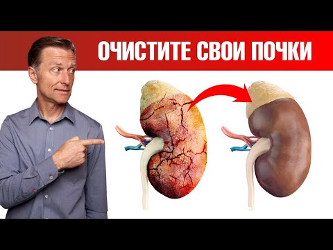 Видео: Детоксикация почек: необычный способ. Почему детокс почек так важен🤔