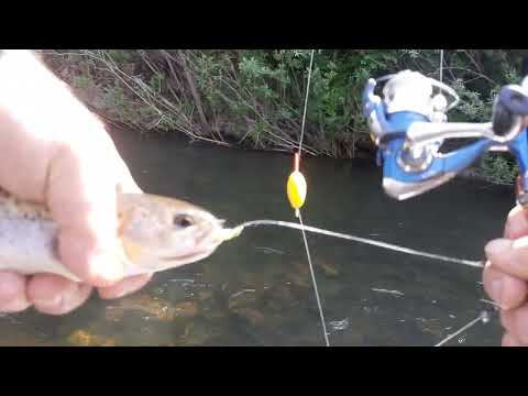 Видео: Ловим ленков и хариусов.Два дня в дали от цевилизации.
