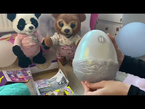 Видео: К Мишельке прилетел новый гость