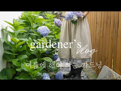 Видео: Как я лечу летний сад 🌞 Это корейское лето!