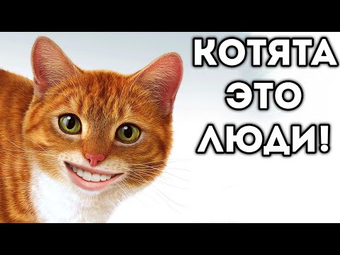 Видео: КОТЯТА ЭТО ЛЮДИ!