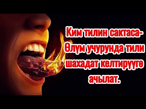 Видео: 10-Тилин сактаган пенде.