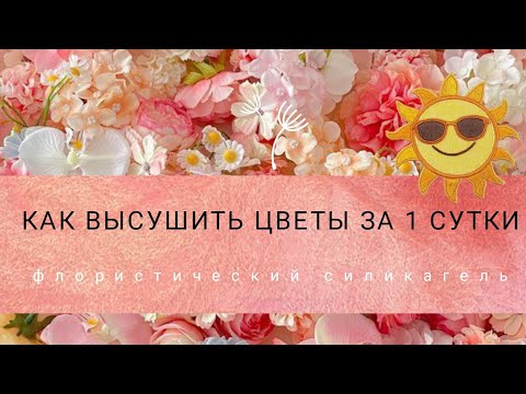 Видео: Сушка цветов. Флористический силикагель. Ботанические свечи!