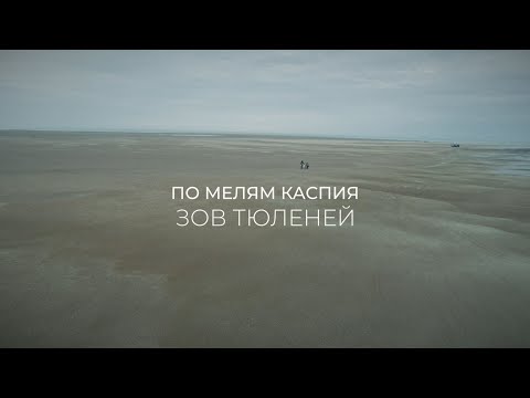 Видео: ПО МЕЛЯМ КАСПИЯ. ЗОВ ТЮЛЕНЕЙ