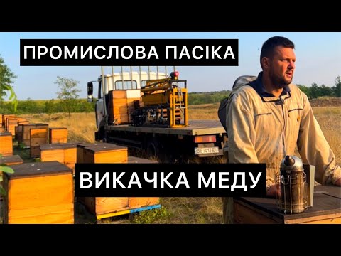 Видео: Пасічник в ділі