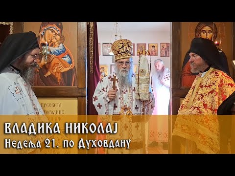 Видео: 2. 11. 2025. Беседа Владике Николаја у недељу 21. по Духовдану