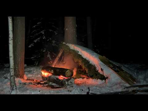 Видео: Этот костер спасет Вам жизнь: Как выжить ночью в Диком зимнем лесу! Бушкрафт