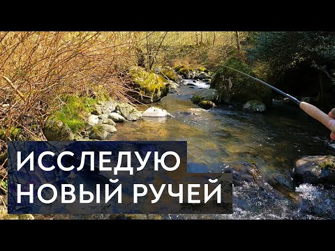 Видео: Новый сезон, новый ручей и новая тенкара