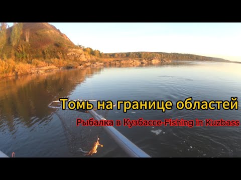 Видео: Рыбалка в красивых местах на Томи, на стыке двух областей.
