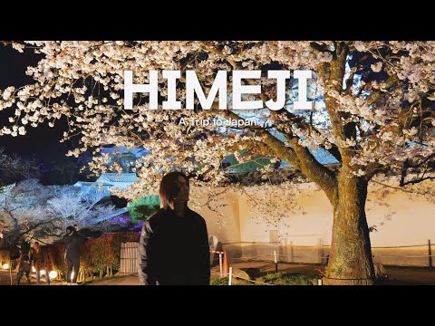 Видео: Дни в Химедзи | Видеоблог о путешествиях в Японию