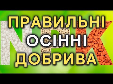 Видео: 🍂 БЕЗ АЗОТУ! Які добрива потрібні восени?