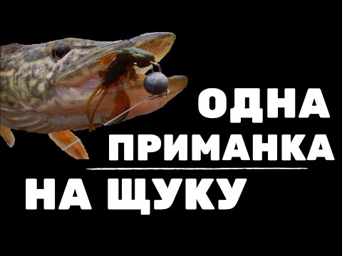 Видео: ОДНА ПРИМАНКА для хищника осенью. Что поймаем? Тестируем предсерийный Crazy Fish Arion