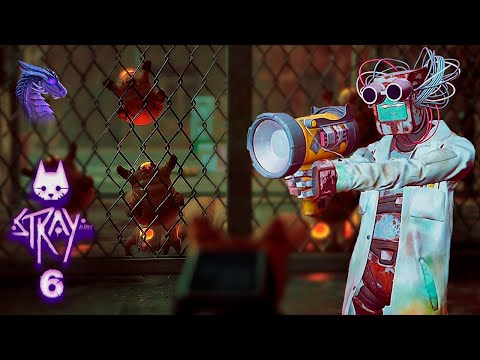 Видео: ВЗРЫВАЕМ ЗУРКОВ С БАТЕЙ. Семья в сборе 🅿➤ Stray прохождение на русском 🅿➤ Стрей прохождение ➤ 6