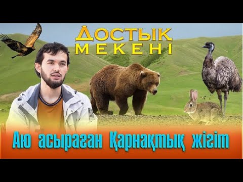 Видео: Достық мекені | Аю асыраған Қарнақтық жігіт