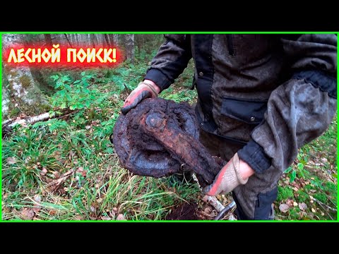 Видео: ПРОВЕРЯЕМ ТОЧКИ В ЛЕСУ ГДЕ ДОЛЖЕН БЫТЬ МЕТАЛЛОЛОМ!