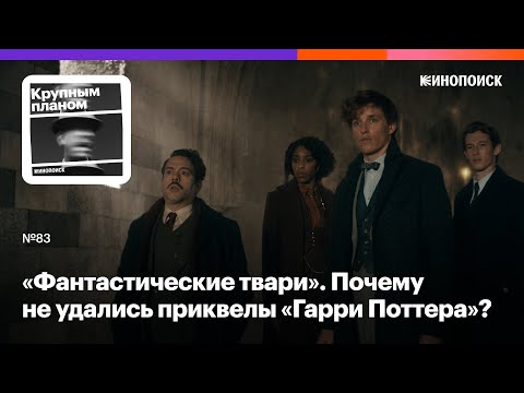 Видео: «Фантастические твари». Почему не удались приквелы «Гарри Поттера»?