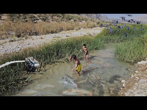 Видео: Рыбалка на болоте | Я откачал воду | Дикие утки в небе