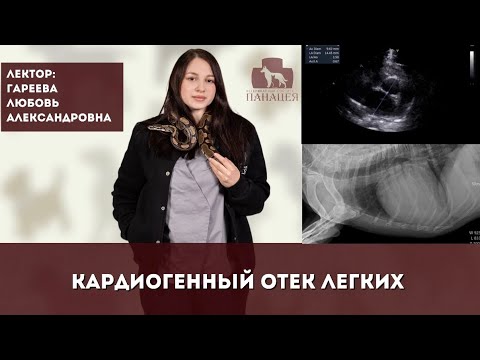 Видео: Кардиогенный отек легких у животных