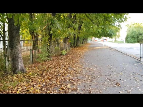 Видео: НАЛЬЧИК. ПРОГУЛКА ПО ГОРОДУ. 07.10.25