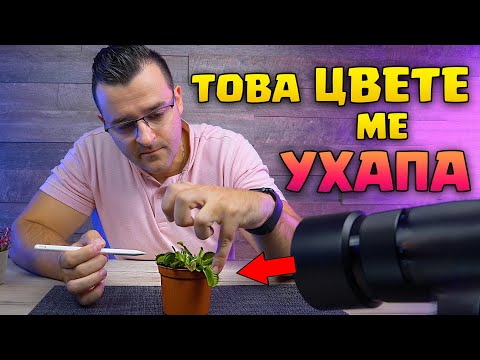 Видео: 12 ХИЩНИ растения, които ЛОВЯТ ЖИВОТНИ