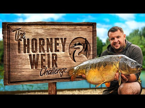 Видео: Том Мейкер бросает вызов Торни Вейру – вызов карповой рыбалке! | Korda Vlog