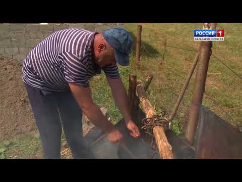 Видео: "Корни и крона" (на черкесском языке)