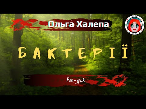 Видео: БАКТЕРІЇ (реп-урок)