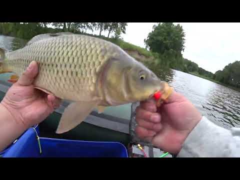 Видео: Ловля карпа по македонски ,с прикормкой МЕГАМИКС!!!!)))