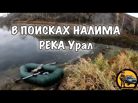 Видео: РЫБАЛКА НА НАЛИМА В ОКТЯБРЕ НА ЗАКИДУШКИ И ПЕРЕМЕТ. ОСЕННИЙ ПЕЙЗАЖ И УХА ИЗ НАЛИМА.🎣🔥🔥🔥