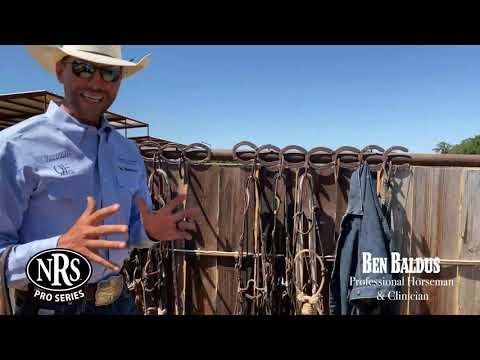Видео: Типы конских мундштуков с Беном Балдусом — NRS Pro Series