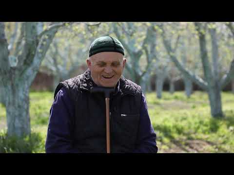 Видео: ГИХТАРА ХЬАНАЛ КЪИНХЬЕГАМХО - ШЕГIДИ