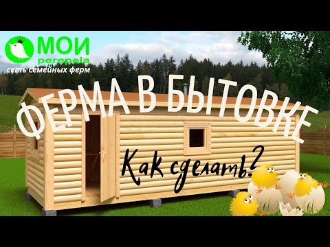 Видео: Перепелиная ферма в бытовке. Как сделать? МОИ перепела