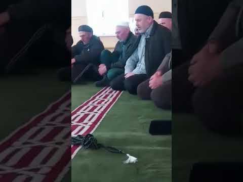 Видео: турчи на даргинском