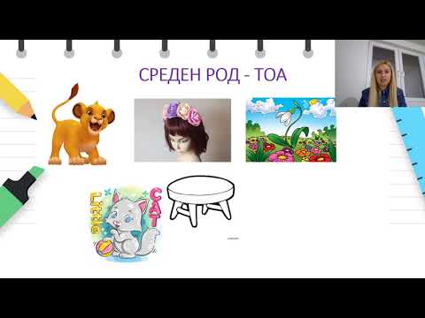 Видео: IV одделение - Македонски јазик - Ред и број кај именките