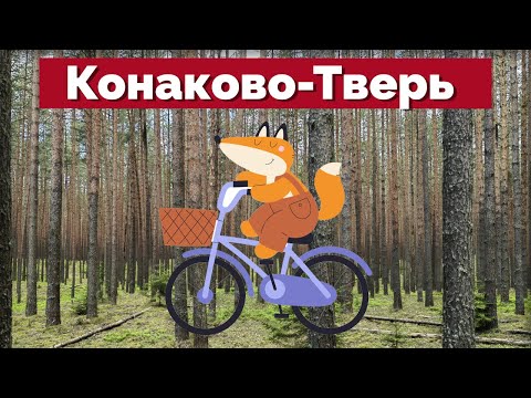 Видео: Лучший гравийный маршрут в 2025 году? Едем Конаково - Тверь