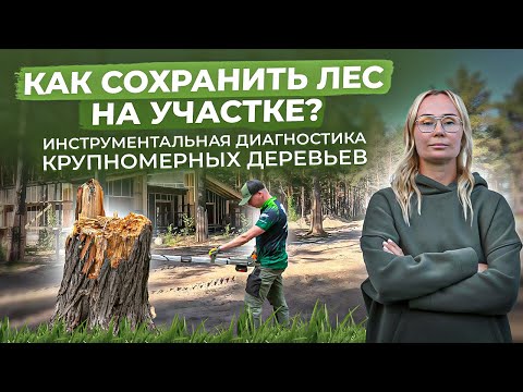 Видео: Лесной участок. Как сохранить деревья?!Инструментальная диагностика. 