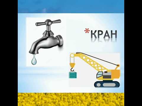 Видео: Слова, які звучать однаково, але мають різні значення  "🌞i🐞"