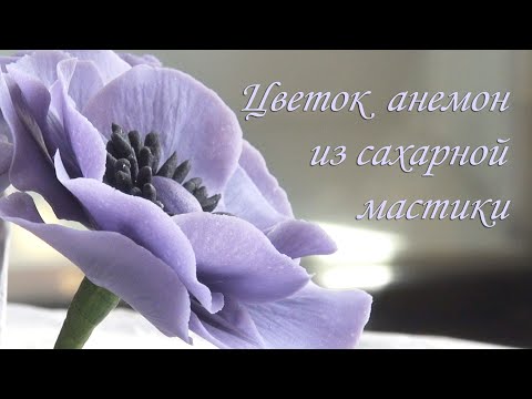 Видео: Цветы для торта/ Анемон из мастики Sugar fondant anemone شقائق النعمان السكر