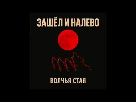 Видео: Зашёл и налево - Волчья стая