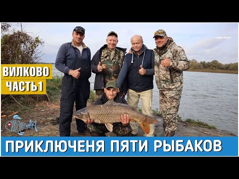 Видео: Приключения пяти рыбаков. Вилково, Дунай. Часть первая.