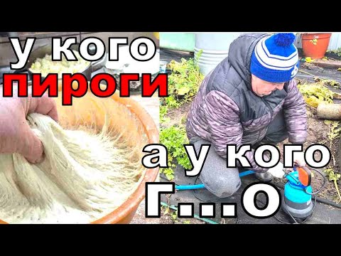 Видео: Старинный рецепт хреновухи. Как чистим слив в бане? Пироги с карельской начинкой