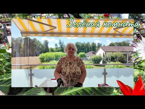 Видео: Садовод делится счастьем: пересаживаем растения с душой!