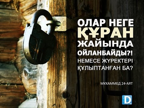Видео: Дарын Мубаров Олар Құран жайында ойланбайды ма